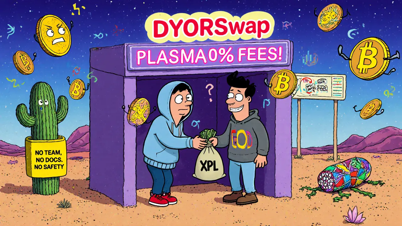DYORSwap (Plasma) Crypto Exchange Review: Low Fees, High Risk