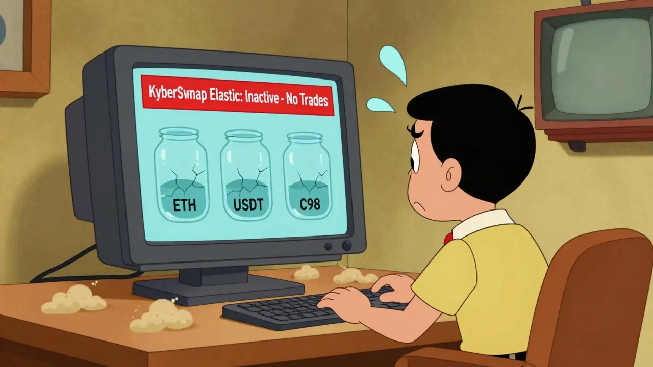 KyberSwap Elastic (Ethereum) Crypto Exchange Review: Is It Safe to Use in 2025?